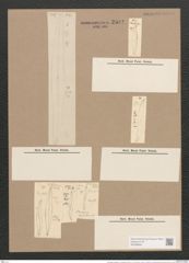 Pleurosigma angulatum var. delicatulum (W.Sm.) V.H. (de-Toni-Nr.: Genus 13, Species 1001) Zeichnungen Sammlung Grunow Nr. 2002 (NHMW-BOT-W0368849)